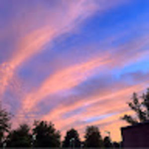 Meet your Posher, Abigail